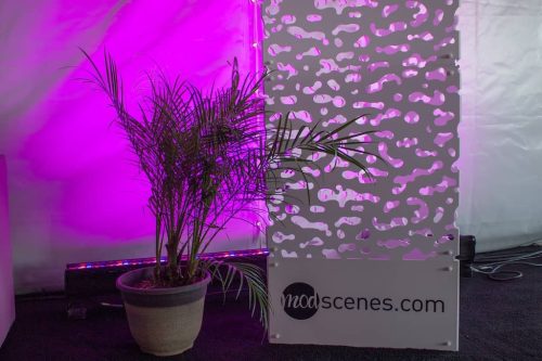 church-stage-backdrops-mod-scenes-updates-2-16-2026-18